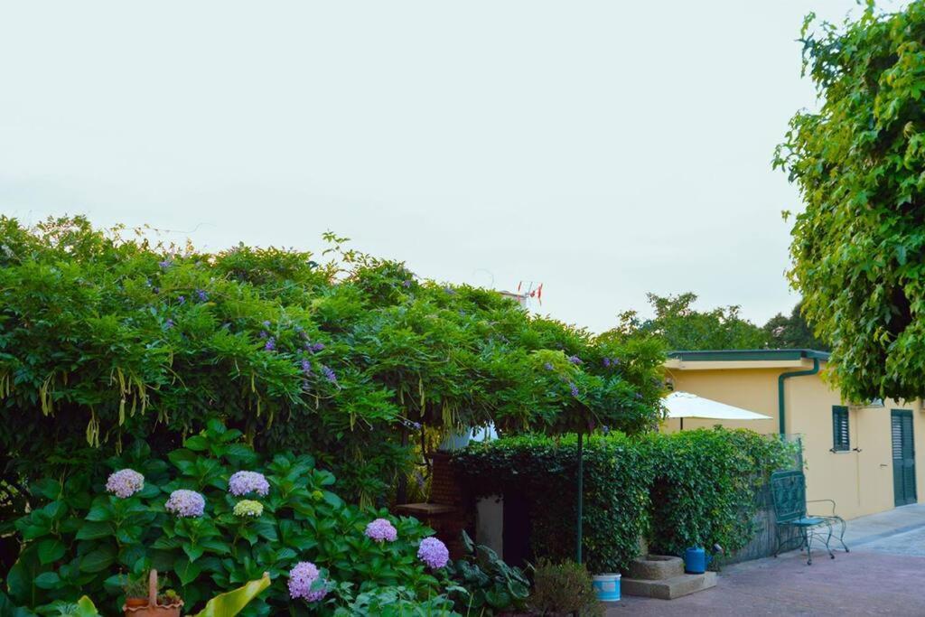 A Tintureira Villa Sao Martinho de Antas ภายนอก รูปภาพ