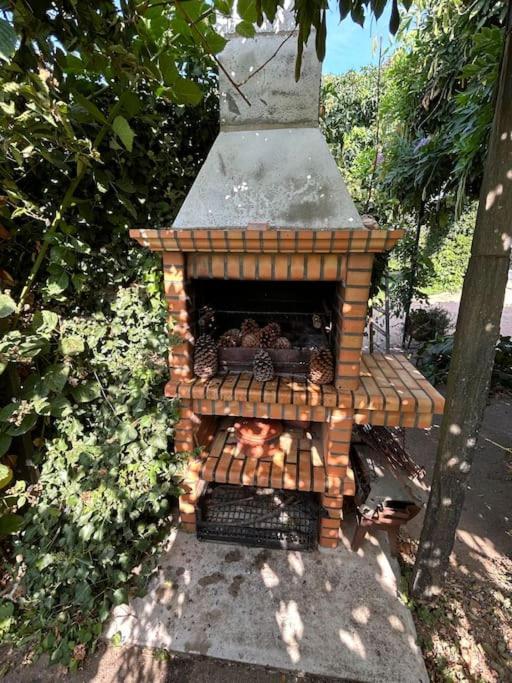 A Tintureira Villa Sao Martinho de Antas ภายนอก รูปภาพ